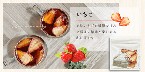 KUDAMONOGATARI くだものがたり 国産果実×国産和紅茶